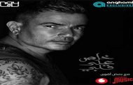 عمرو دياب يتبرع بـ 5 ملايين جنيه مصري دعمًا للقضية الفلسطينية وأهالي غزة...