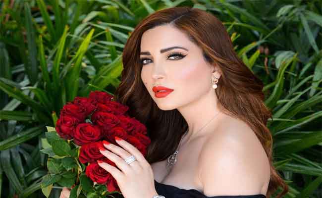 نسرين طافش تتعامل لأول مرة مع أحمد الفيشاوي في