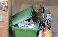 بسبب تجويع الجنرالات الجزائريين أصبحوا يأكلون كل شيء من الكلاب إلى الجيفة