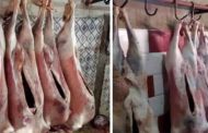 وضع حد لنشاط مذبحين غير شرعيين بحد الصحاري بالجلفة