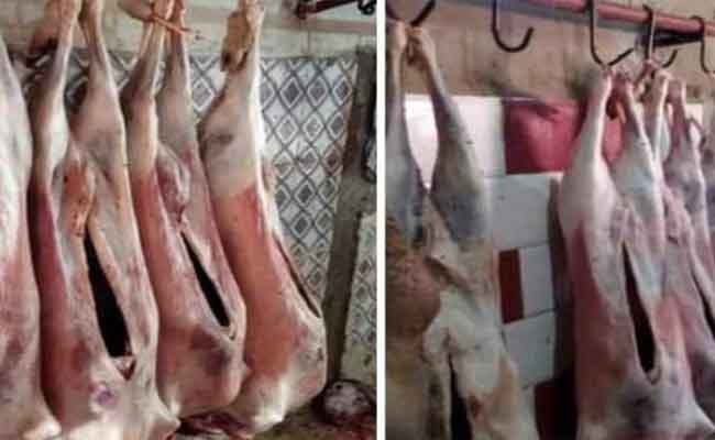 وضع حد لنشاط مذبحين غير شرعيين بحد الصحاري بالجلفة