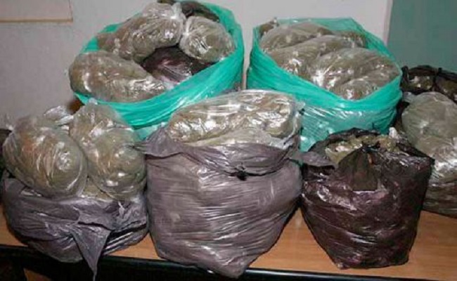 إحباط تسويق 66 ألف كيس من الشمّة المحلية بمحلات قسنطينة
