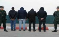 توقيف 4 أشخاص يحترفون السطو على رؤوس الأبقار بوهران