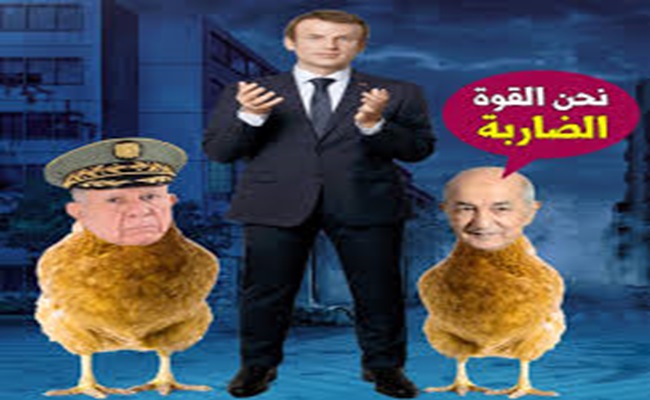 الرئيس الشاذ تبون ينبطح أمام اسبانيا ويقدم لها فروض الولاء والطاعة