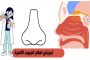فوائد ومخاطر تناول الخرشوف أثناء الحمل...