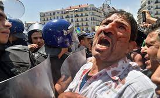 الجنرالات مع حق كل شعوب العالم في العيش الكريم إلا الجزائريين يجب معاملتهم مثل الكلاب