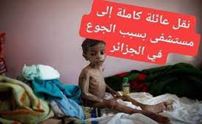 سياسة الجنرالات لتجويع الجزائريين جعلت المواطنين يأكلون الكلاب والفئران