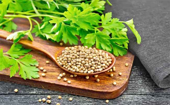 فوائد الكزبرة المطحونة للتنحيف وتذويب الدهون وفق طبيبة تغذية...