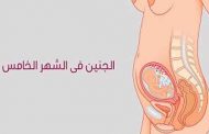 نصائح للحامل في الشهر الخامس...