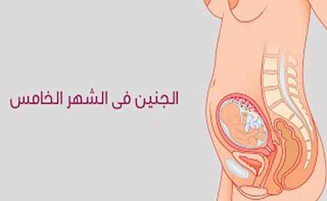 نصائح للحامل في الشهر الخامس...