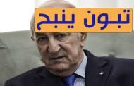المنبطح تبون لا يجيد إلا النباح خلف الكاميرات وشاشات القنوات المحلية