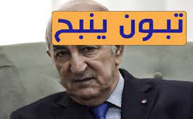 المنبطح تبون لا يجيد إلا النباح خلف الكاميرات وشاشات القنوات المحلية