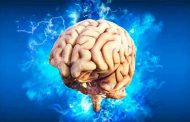 الدماغ: هذه العادة اليومية سوف تحافظ على صحته وفق طبيبة...