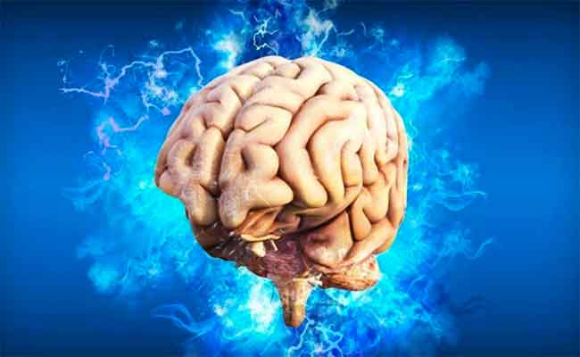 الدماغ: هذه العادة اليومية سوف تحافظ على صحته وفق طبيبة...
