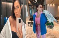 دانييلا رحمة تحمل الصقر فماذا تريده أن يقول لها؟
