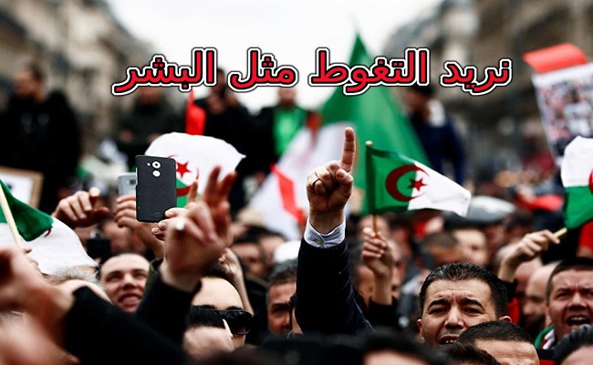 الربيع العربي القادم / من ثورة الياسمين بتونس إلى ثورة الغائط بالجزائر