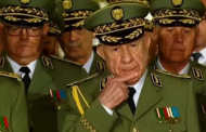 سكوب / ملف مالي سيعجل بسقوط الجنرال شنقريحة