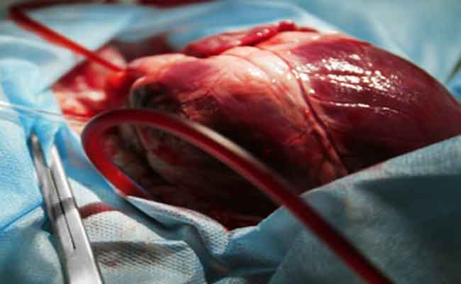 أمراض القلب...3 أنواع يكشفها لك التخطيط الحديث قبل فوات الأوان