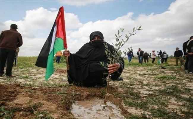 في ذكرى يوم الأرض: الجزائر تؤكد تضامنها مع الشعب الفلسطيني