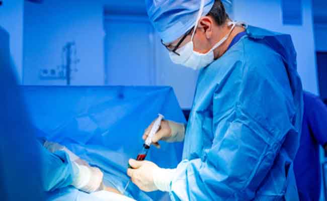 فوائد الخلايا الجذعية وفق طبيبة متخصصة...بديل لزراعة الأعضاء
