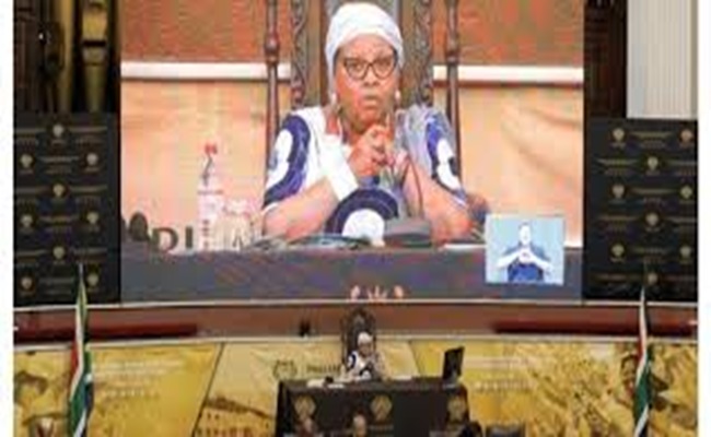 استقالة رئيسة برلمان جنوب إفريقيا