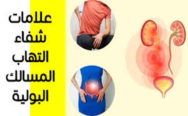 علامات الشفاء من التهاب المسالك البولية