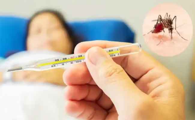 مخاطر حمى الضنك أثناء الحمل وطرق العلاج الآمنة...