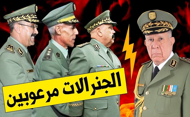 سكوب الطاغية الجنرال شنقريحة يشعر باقتراب نهايته