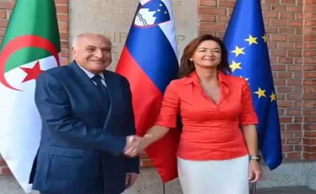عطاف يجري محادثات ثنائية مع نظيرته السلوفينية