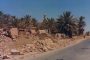 محور الشر يزداد قوة واتحادا