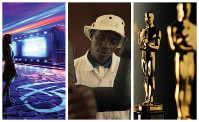 أفلام مهرجان القاهرة السينمائي ضمن القائمة القصيرة للأوسكار...