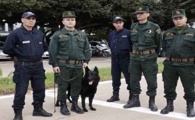 مداهمة مشتركة للدرك والأمن تسفر عن توقيف 216 شخصا بوهران