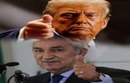 المعتوه تبون يضع عصابة الحنرالات في مرمى مدفعية الرئيس ترامب