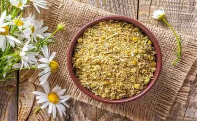 علاج القيء عند الرضع بالأعشاب بطرق آمنة....