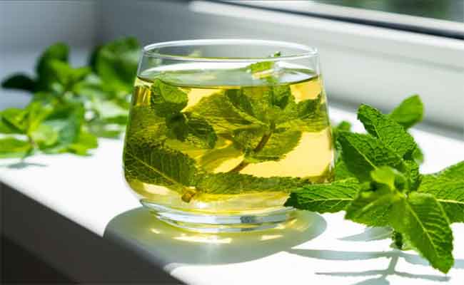 أضرار النعناع للنساء احذريها بحسب طبيبة تغذية...