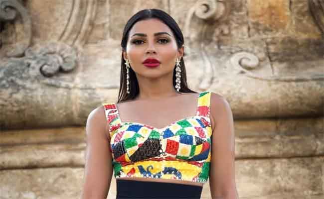 أحدثهما مهيرة عبد العزيز وحاتم فهمي...3 حالات طلاق ومثلها زواج داخل الوسط الفني في بداية 2025