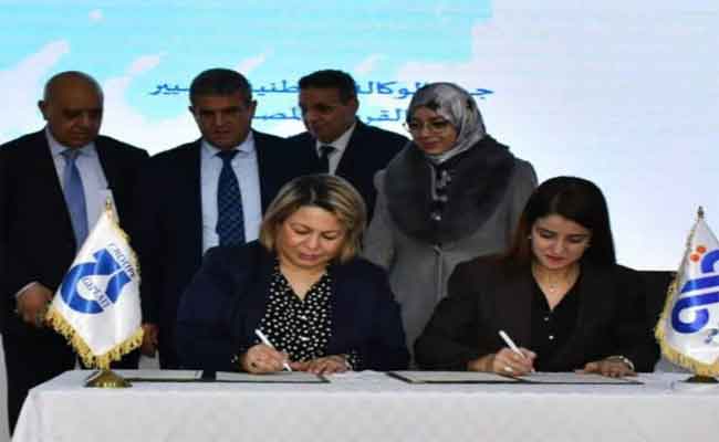الوكالة الوطنية لتسيير القرض المصغر توقع اتفاقية تعاون مع مجمع الحليب “جيبلي”