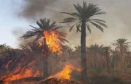 نشوب حريق يخلف إتلاف 270 نخلة في المغير