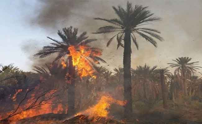 نشوب حريق يخلف إتلاف 270 نخلة في المغير