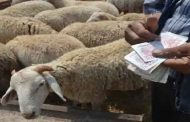 إعادة فتح الأسواق الأسبوعية للمواشي استثنائيا بتيارات