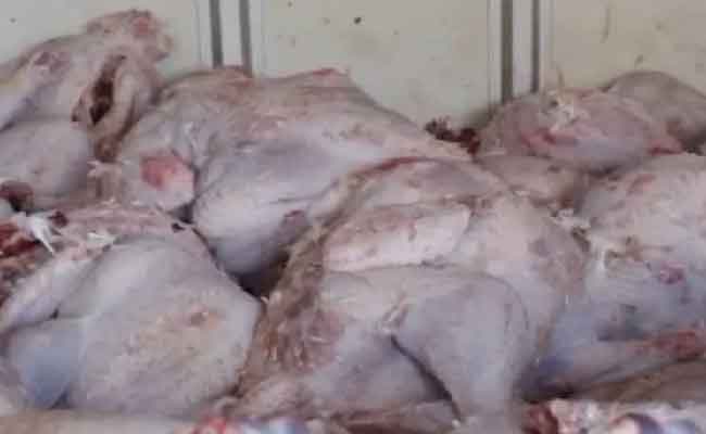 إحباط تسويق 8 قناطير من اللحوم البيضاء الفاسدة من مستودع سري بوهران