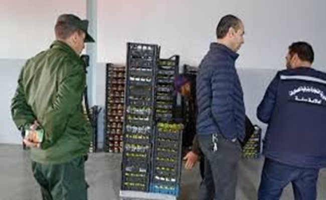 حجز 14 قنطار من التفاح موجّه للمضاربة