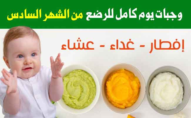 ما هو البرنامج المثالي لتغذية طفلك الرضيع في الشهر السادس؟