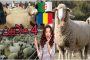 أول تغيير منذ 12 عامًا...تصميم وميزات جديدة من نتفليكس