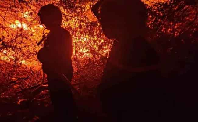 نشوب حريق بمنطقة مازر بلدية رأس جنات ببومرداس دون تسجيل خسائر بشرية