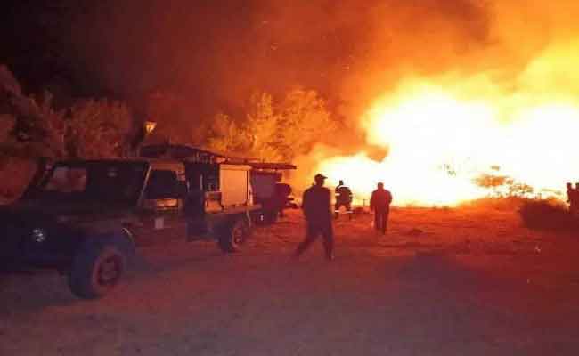 اندلاع 22 حريقا في غابات وأدغال بـ8 ولايات
