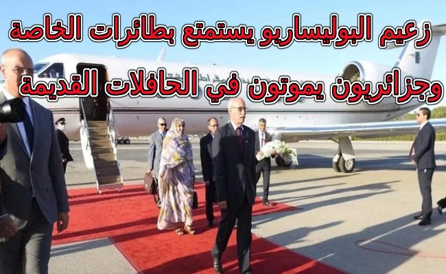 ميزانية تحسين البنية وشراء الحافلات لشعب الجزائري صرفها الجنرالات على كلاب البوليساريو