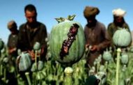 بعد سيطرة أفغانية...كيف انتزعت باكستان صدارة الدول المروّجة للأفيون عالميا؟
