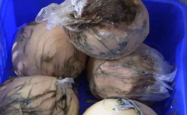 حجز أزيد من 300 قنطار من الجبن الفاسد بتلمسان