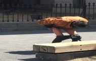 شعار الجزائر الجديدة 